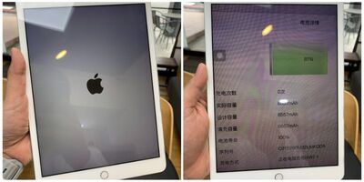 【維修案例】iPad 8閃蘋果無法進系統？平板裡的重要資料該怎麼辦？